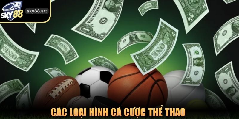 Các loại hình cá cược thể thao