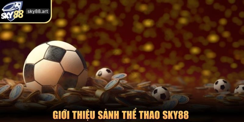 Giới thiệu sảnh thể thao SKY88
